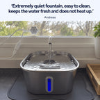 Mewly Cat Water Fountain